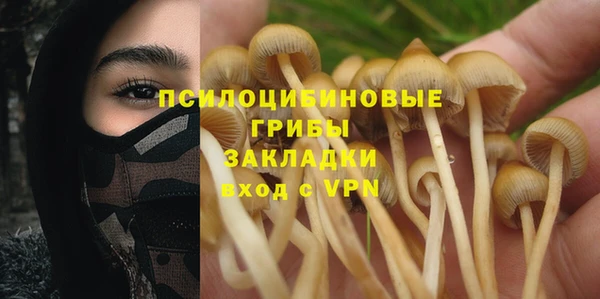 ПСИЛОЦИБИНОВЫЕ ГРИБЫ Лиски