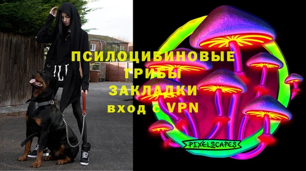 ПСИЛОЦИБИНОВЫЕ ГРИБЫ Лиски