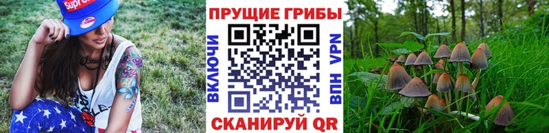 Галлюциногенные грибы MAGIC MUSHROOMS  Эртиль 